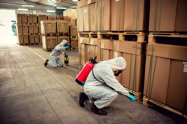 Best Mosquito Control Services  in Minerva, OH