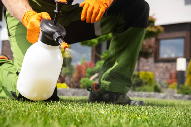 Best Rat Extermination Near Me  in Minerva, OH