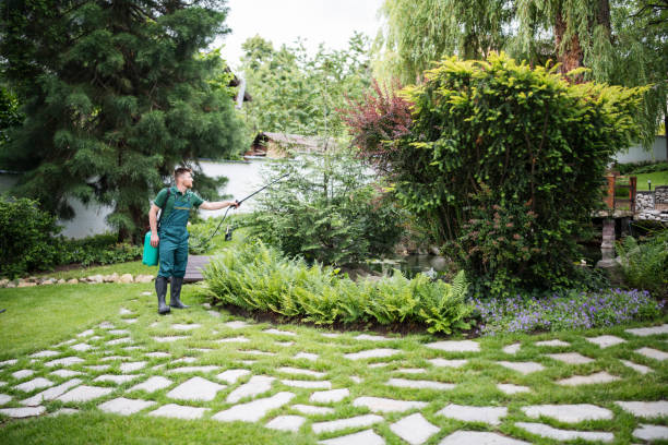 Best Ant Control Services  in Minerva, OH