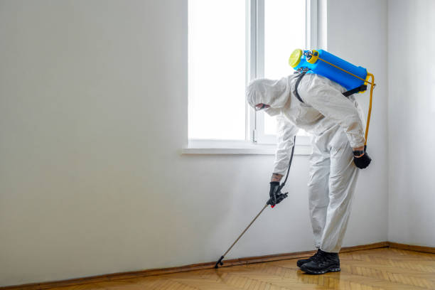 Best Pest Removal Services  in Minerva, OH