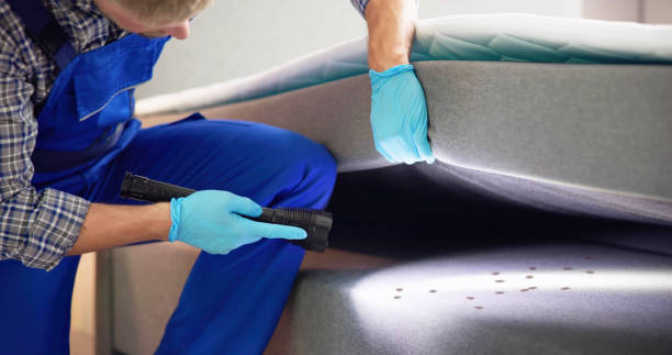 Best Flea Control Services  in Minerva, OH