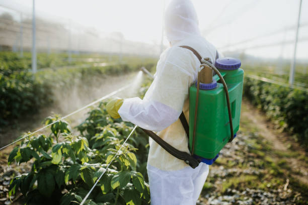 Best Pest Control Near Me  in Minerva, OH